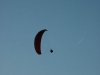 zdsc_0081