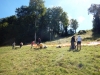 DSCN1172