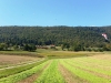 20160924_143243