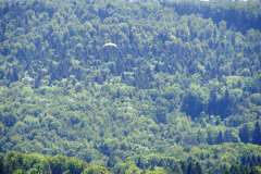 imgp4627