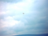 dscn0211