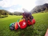 DCIM100GOPRO