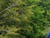 imgp2279